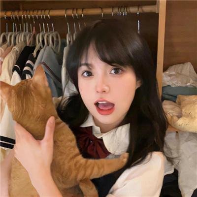 机甲界